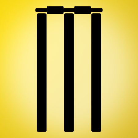 Cricket Stumps Iron on Transfer