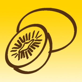 Kiwi Fruit Iron on Transfer