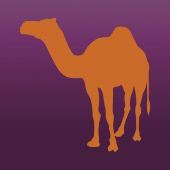 Camel Iron on Transfer