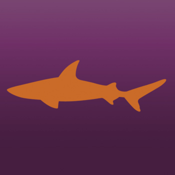 Shark Fish Iron on Transfer