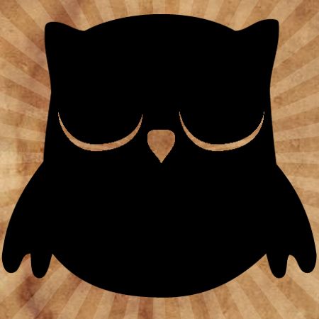 Sleeping Owl Iron on Transfer